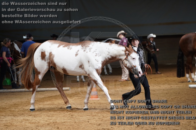 s_A_900486.JPG